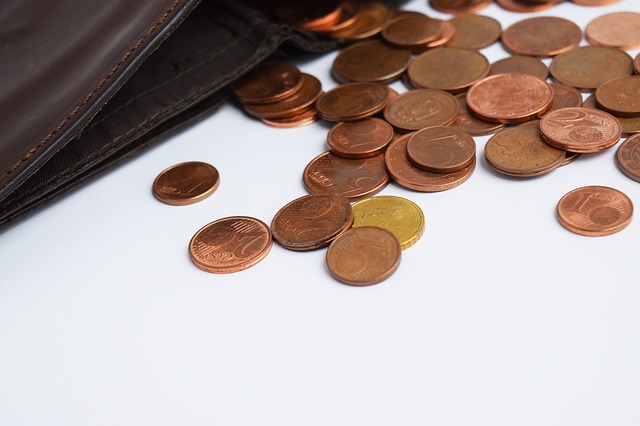 mince, peněženka