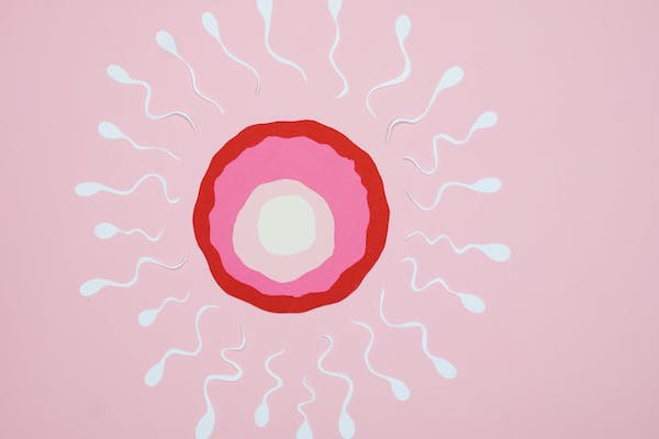 zobrazení spermií 