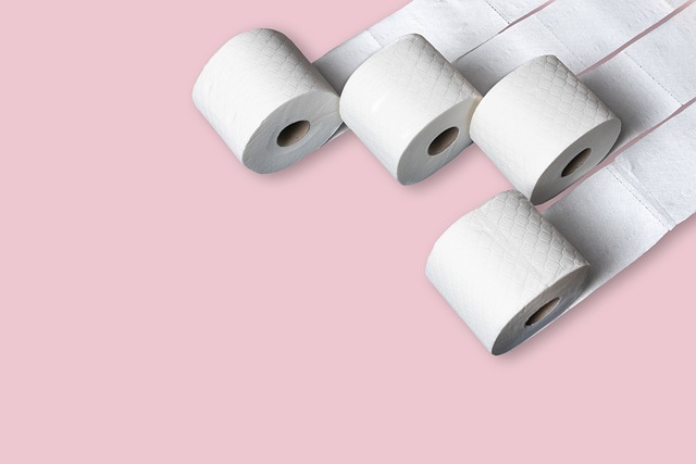 toaletní papír